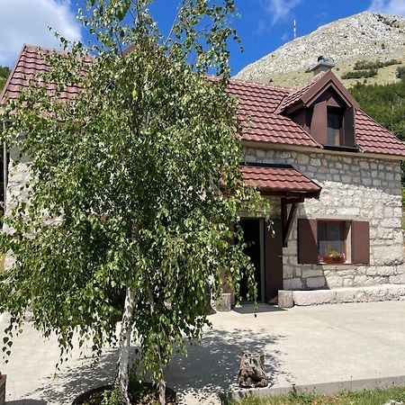 סטינג'ה Lovcen Holiday Home מראה חיצוני תמונה