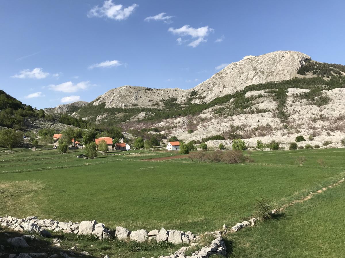סטינג'ה Lovcen Holiday Home מראה חיצוני תמונה